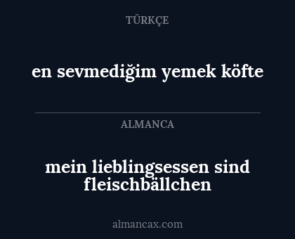 mein lieblingsessen sind fleischbällchen - en sevmediğim yemek köfte