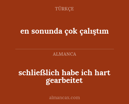 en sonunda çok çalıştım - schließlich habe ich hart gearbeitet