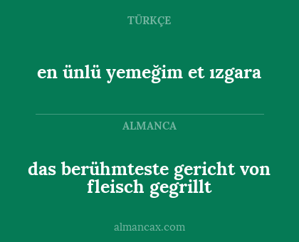 das berühmteste gericht von fleisch gegrillt - en ünlü yemeğim et ızgara
