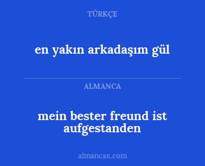 mein bester freund ist aufgestanden - en yakın arkadaşım gül