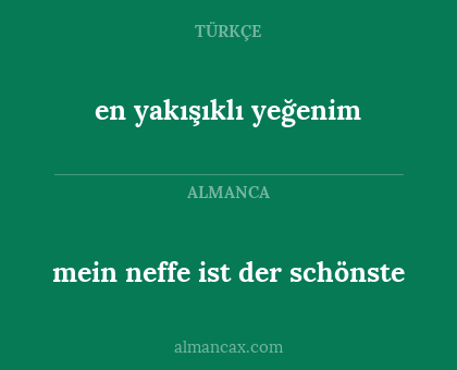 mein neffe ist der schönste - en yakışıklı yeğenim