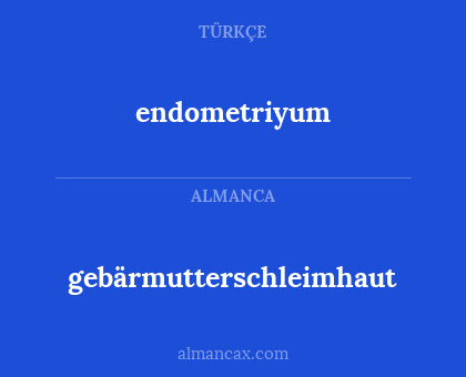gebärmutterschleimhaut - endometriyum