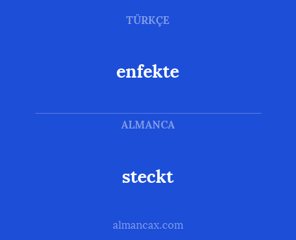 steckt - enfekte