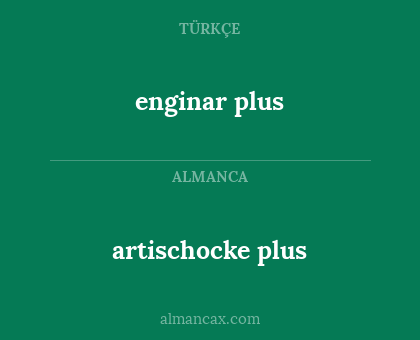 enginar plus - artischocke plus