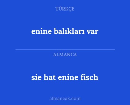 sie hat enine fisch - enine balıkları var