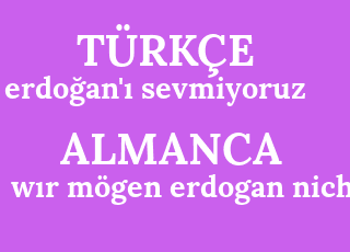 erdo%C4%9Fan%26%2339%3B%C4%B1+sevmiyoruz-w%C4%B1r+m%C3%B6gen+erdogan+nicht.png