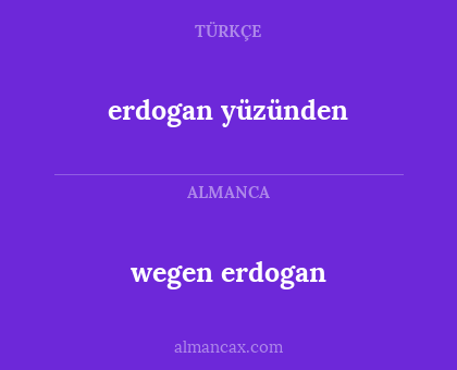 erdogan yüzünden - wegen erdogan