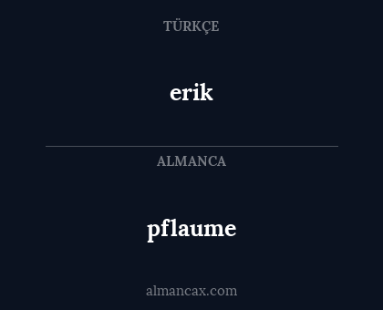 erik - pflaume