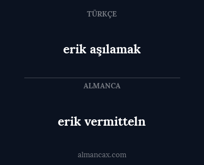 erik vermitteln - erik aşılamak