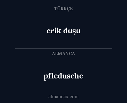 pfledusche - erik duşu