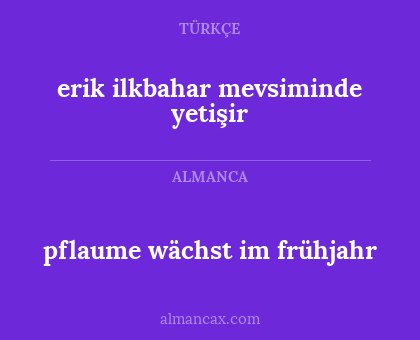 pflaume wächst im frühjahr - erik ilkbahar mevsiminde yetişir