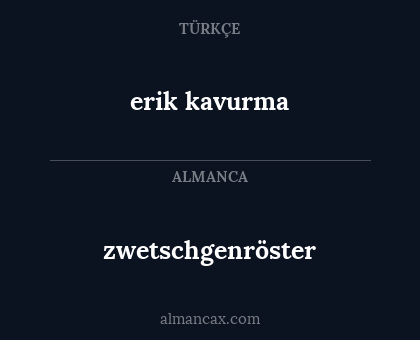 erik kavurma - zwetschgenröster