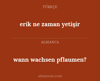 wann wachsen pflaumen? - erik ne zaman yetişir
