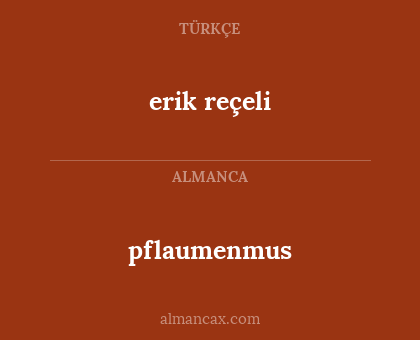 pflaumenmus - erik reçeli