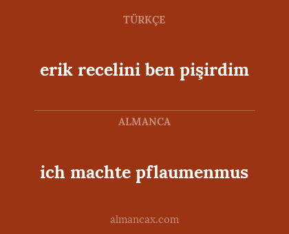 erik recelini ben pişirdim - ich machte pflaumenmus