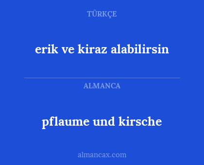pflaume und kirsche - erik ve kiraz alabilirsin