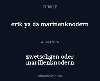zwetschgen oder marillenknodern - erik ya da marinenknodern