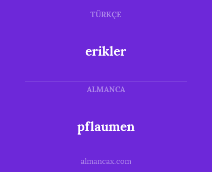 pflaumen - erikler