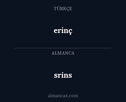 erinç - srins