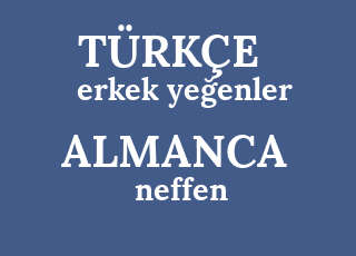 Tante Treibt Es Mit Ihrem Neffen Tante Treibt Es Mit Ihrem Neffen