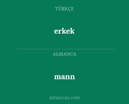 erkek - mann