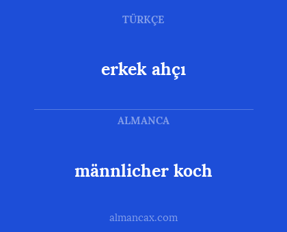 männlicher koch - erkek ahçı