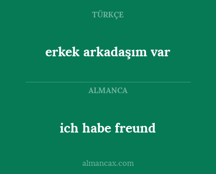 erkek arkadaşım var - ich habe freund