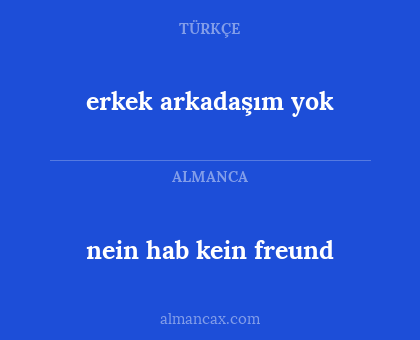 erkek arkadaşım yok - nein hab kein freund