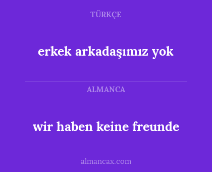 erkek arkadaşımız yok - wir haben keine freunde