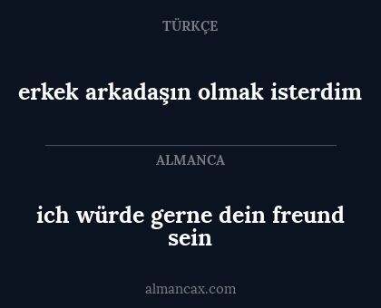 erkek arkadaşın olmak isterdim - ich würde gerne dein freund sein