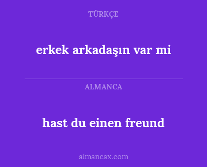 erkek arkadaşın var mi - hast du einen freund