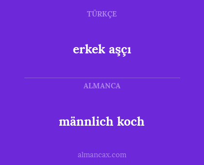erkek aşçı - männlich koch