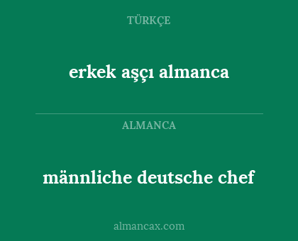 erkek aşçı almanca - männliche deutsche chef