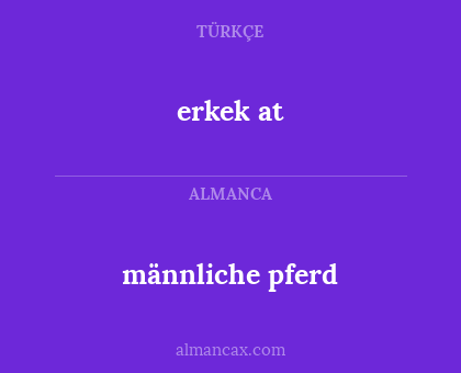 männliche pferd - erkek at