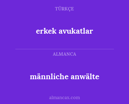 männliche anwälte - erkek avukatlar