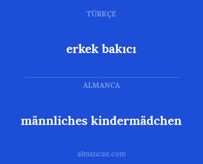 männliches kindermädchen - erkek bakıcı