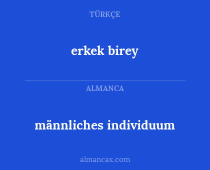 männliches individuum - erkek birey