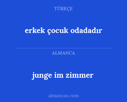 junge im zimmer - erkek çocuk odadadır