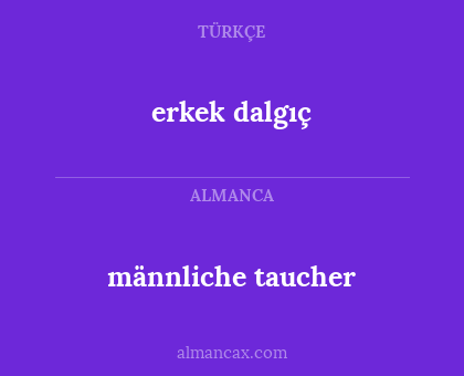 männliche taucher - erkek dalgıç