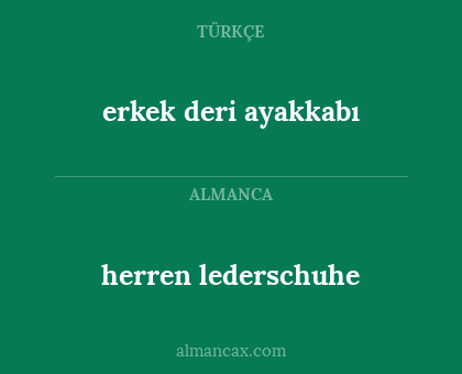 herren lederschuhe - erkek deri ayakkabı