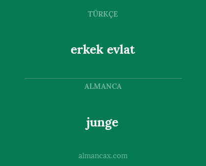 junge - erkek evlat