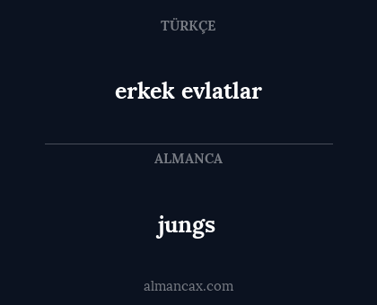 erkek evlatlar - jungs
