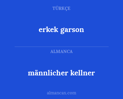 männlicher kellner - erkek garson
