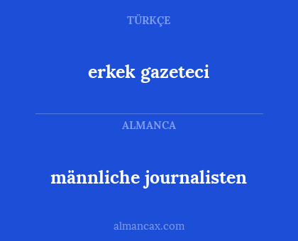 erkek gazeteci - männliche journalisten