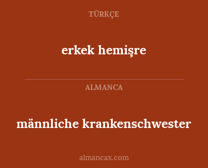 männliche krankenschwester - erkek hemişre