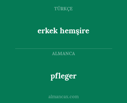 pfleger - erkek hemşire