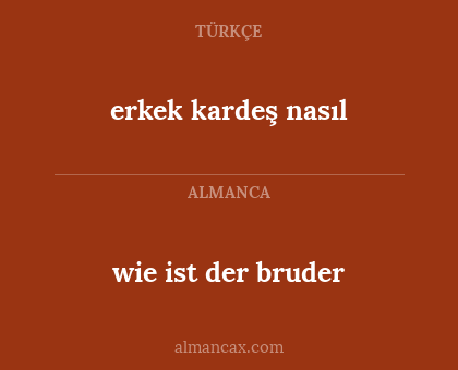 wie ist der bruder - erkek kardeş nasıl