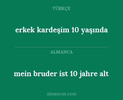 erkek kardeşim 10 yaşında - mein bruder ist 10 jahre alt