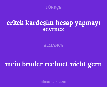 erkek kardeşim hesap yapmayı sevmez - mein bruder rechnet nicht gern