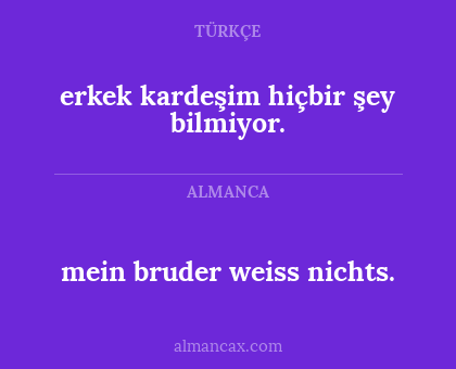 erkek kardeşim hiçbir şey bilmiyor. - mein bruder weiss nichts.